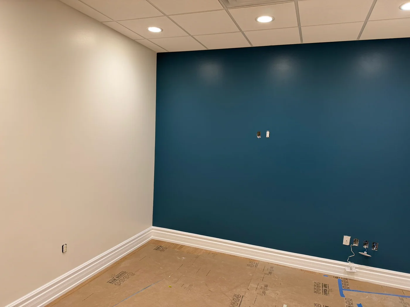 Commercial office with a deep blue feature wall